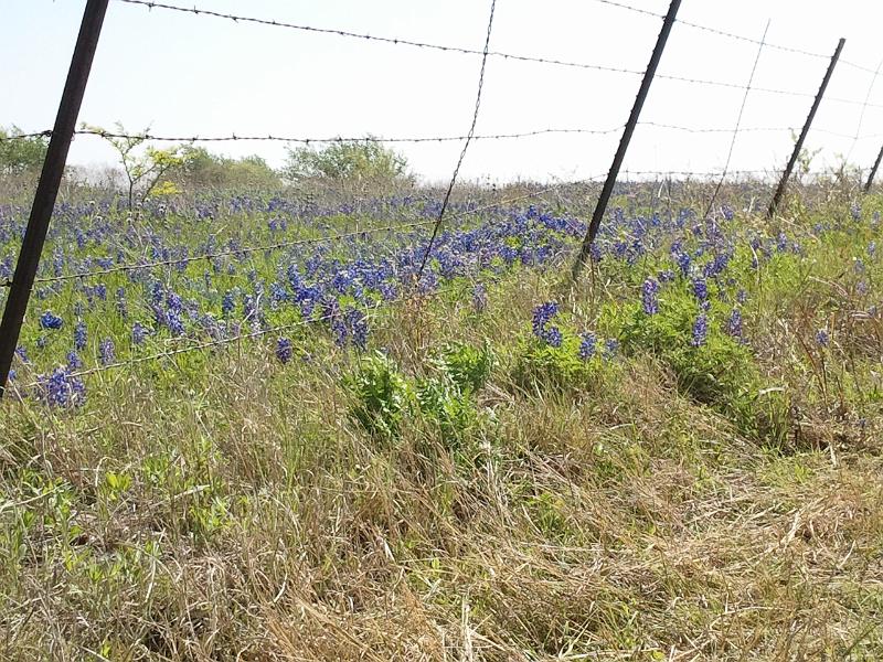 2013-04-14 11.21.46.jpg